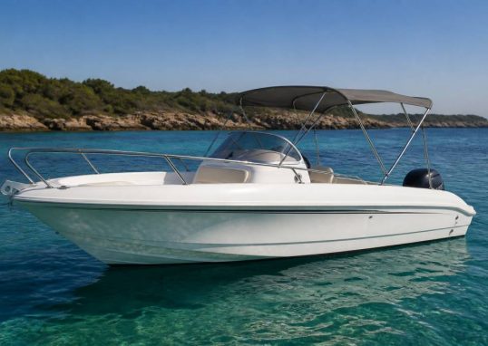 White shark 22 guide complet pour choisir et bien exploiter ce bateau de plaisance