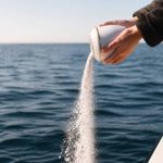 Disperser les cendres en mer : règles, démarches et conseils pour une cérémonie en toute sérénité