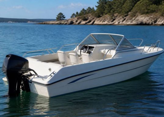Quicksilver 500 commander fiche technique : dimensions, motorisation et caractéristiques