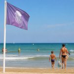 Drapeau plage méduse : signification, dangers et conduite à tenir