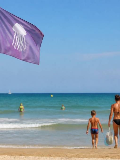 Drapeau plage méduse : signification, dangers et conduite à tenir