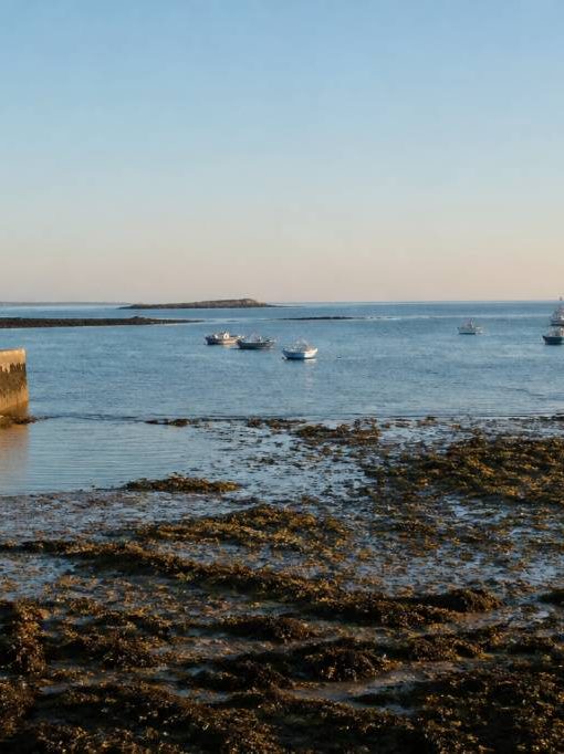 Marée Normandie : comprendre les horaires et coefficients pour naviguer en sécurité