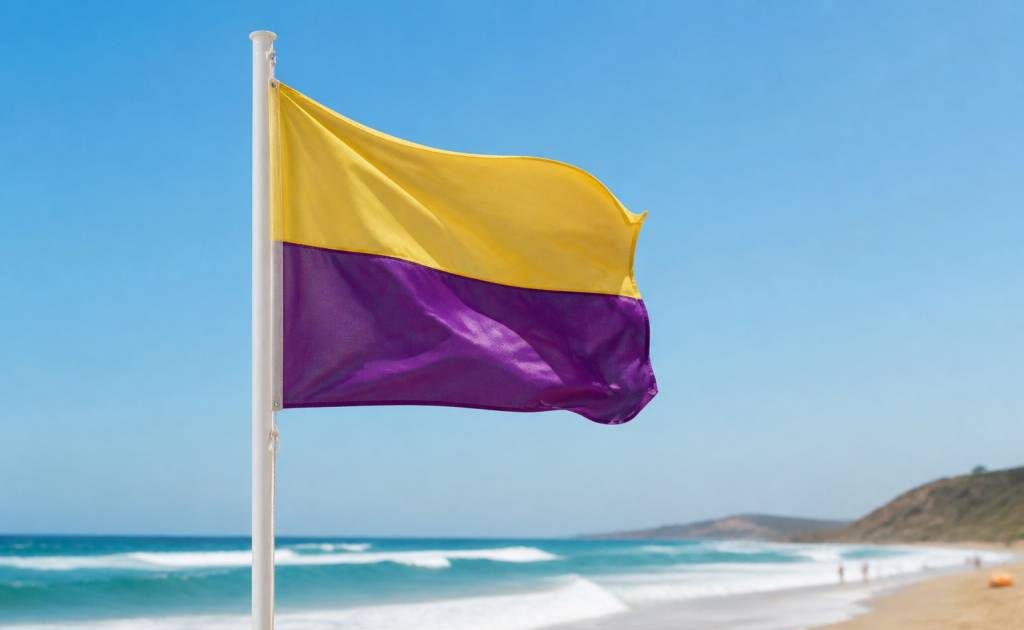 Drapeau jaune et violet plage : signification et consignes de sécurité en mer