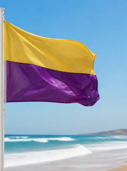 Drapeau jaune et violet plage : signification et consignes de sécurité en mer