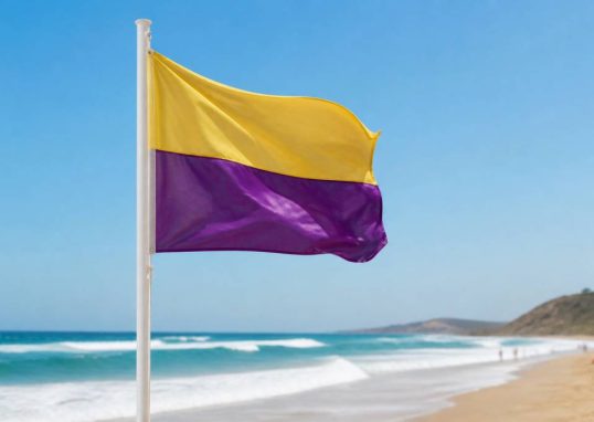 Drapeau jaune et violet plage : signification et consignes de sécurité en mer