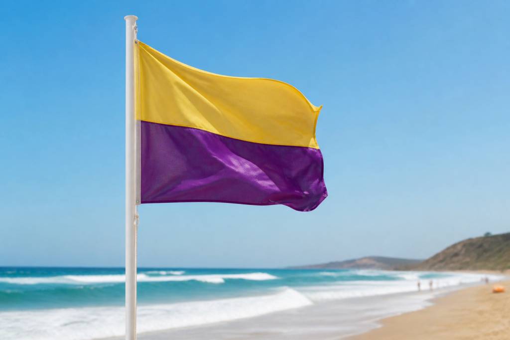 Drapeau jaune et violet plage : signification et consignes de sécurité en mer